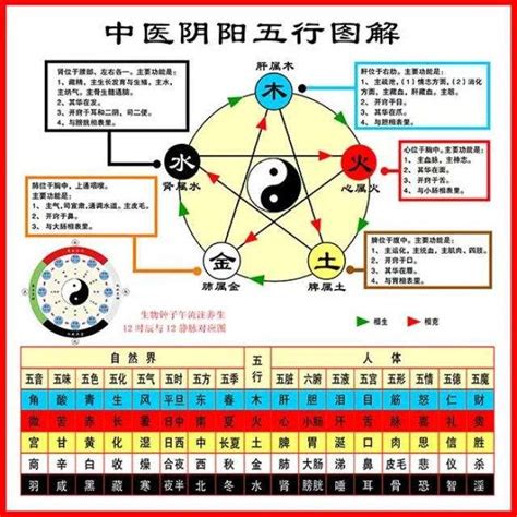 中醫五行屬性|中醫入門系列第四集：中醫的五行